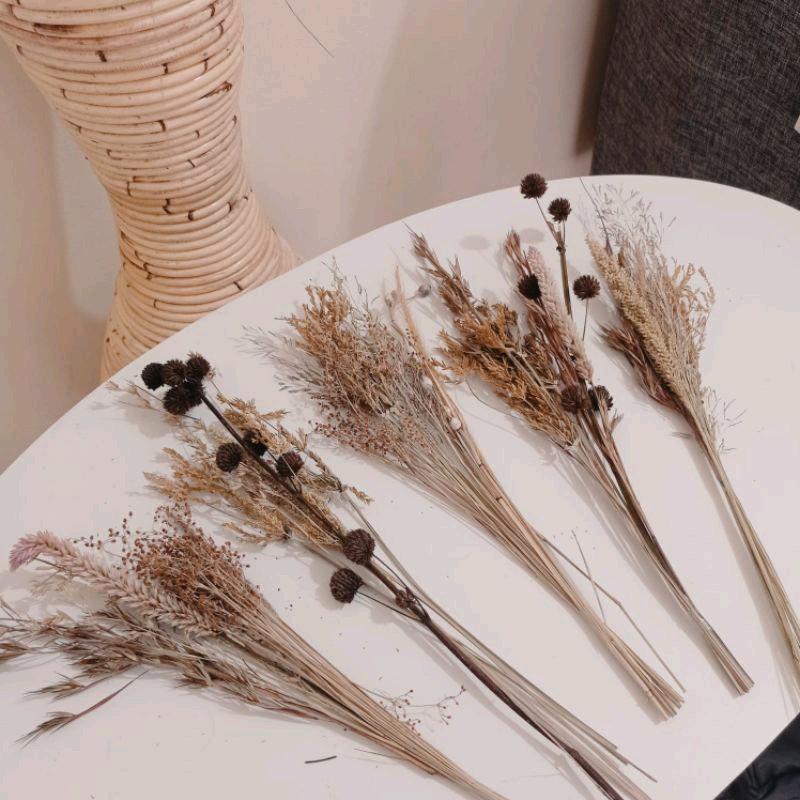 Bunga Random 1 Set Bunga Kering Mix/Random Dried Flower - Shop | Tokopedia