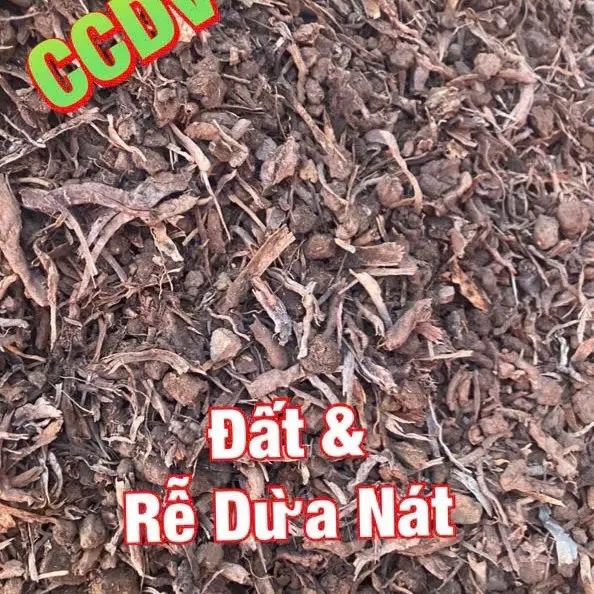 Rễ Dừa Mục Không Đất: (Cục - Bầm - Nát - Bột).  Giúp cây phát triển tốt - Sạch từ thiên nhiên - Bao (52x84)cm: Nặng: từ 8 kg - 14 kg 4