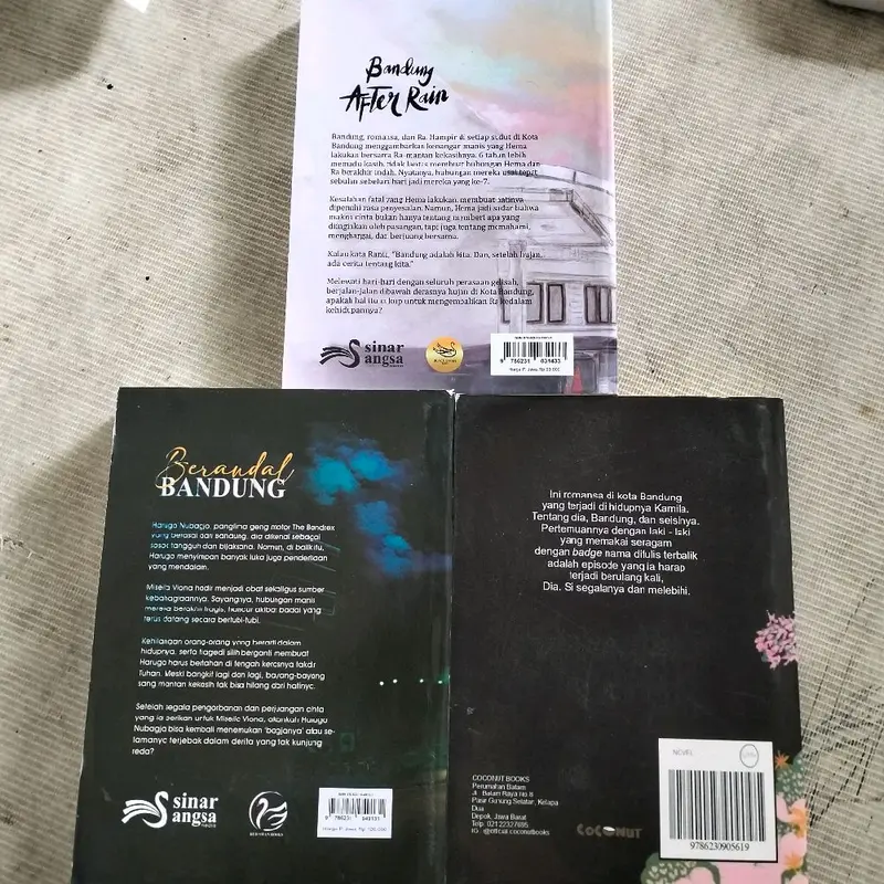 PAKET 3 BUKU / BANDUNG AFTER RAIN / BERANDAL BANDUNG / ROMANSA KOTA BANDUNG / BANDUNG AFTER RAIN 1
