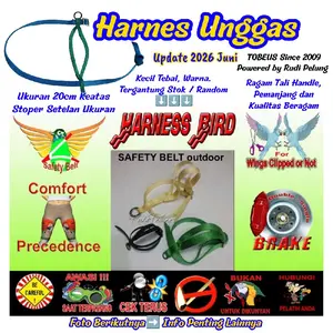 Harness Burung Unggas Parrot bebek ayam serama burung ocehan merpati kenari parkit australia love bird murai kutilang falk cockatiel perkutut sun conure ysc nurri monk ring neck caique bettet tekukur african grey kakatu macaw amazon jamkun amazon
