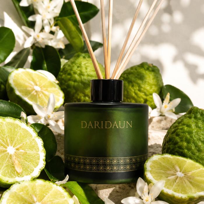 Gambar Reed Diffuser - Morning Haze Of Dieng Plateau by DariDaun dari DariDaun Kab. Tangerang Tokopedia