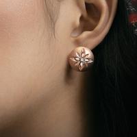 Gambar Anting Berlian Wanda - Anting Solaris - Earrings dari Wanda House Of Jewels Kota Administrasi Jakarta Pusat 2 Tokopedia