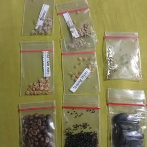 Benih  tanaman unggul  Paket Lengkap Benih Super bibit Unggul Sayuran Cepat Tumbuh