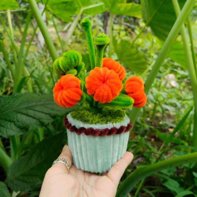  Chậu quýt mini được làm bằng kẽm nhung 