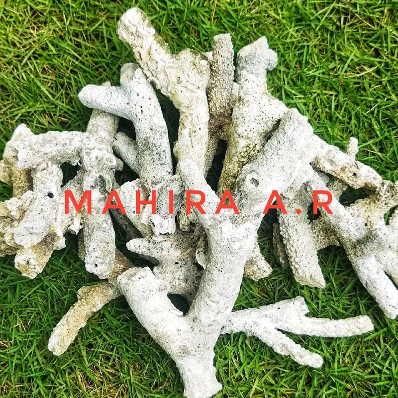 Karang Jahe 500 gram - Filter Akuarium untuk pH Netral dan Alkali 0