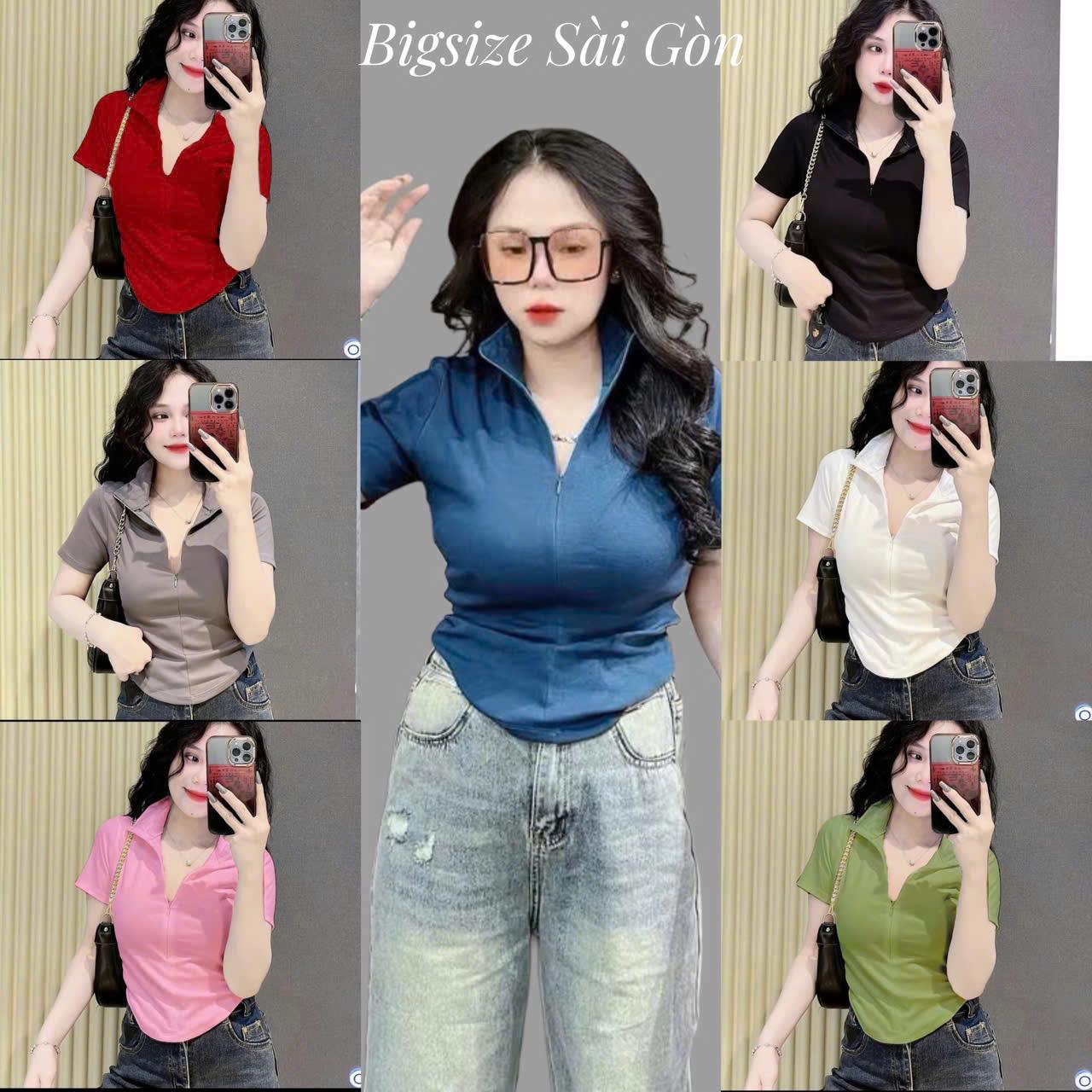Cotton Áo Polo Nữ Cổ Bẻ Tay Ngắn Phối Khóa Basic Cá Tính (Vải Thun cotton Borit Mịn) Bigsize 45–90Kg – B.8042