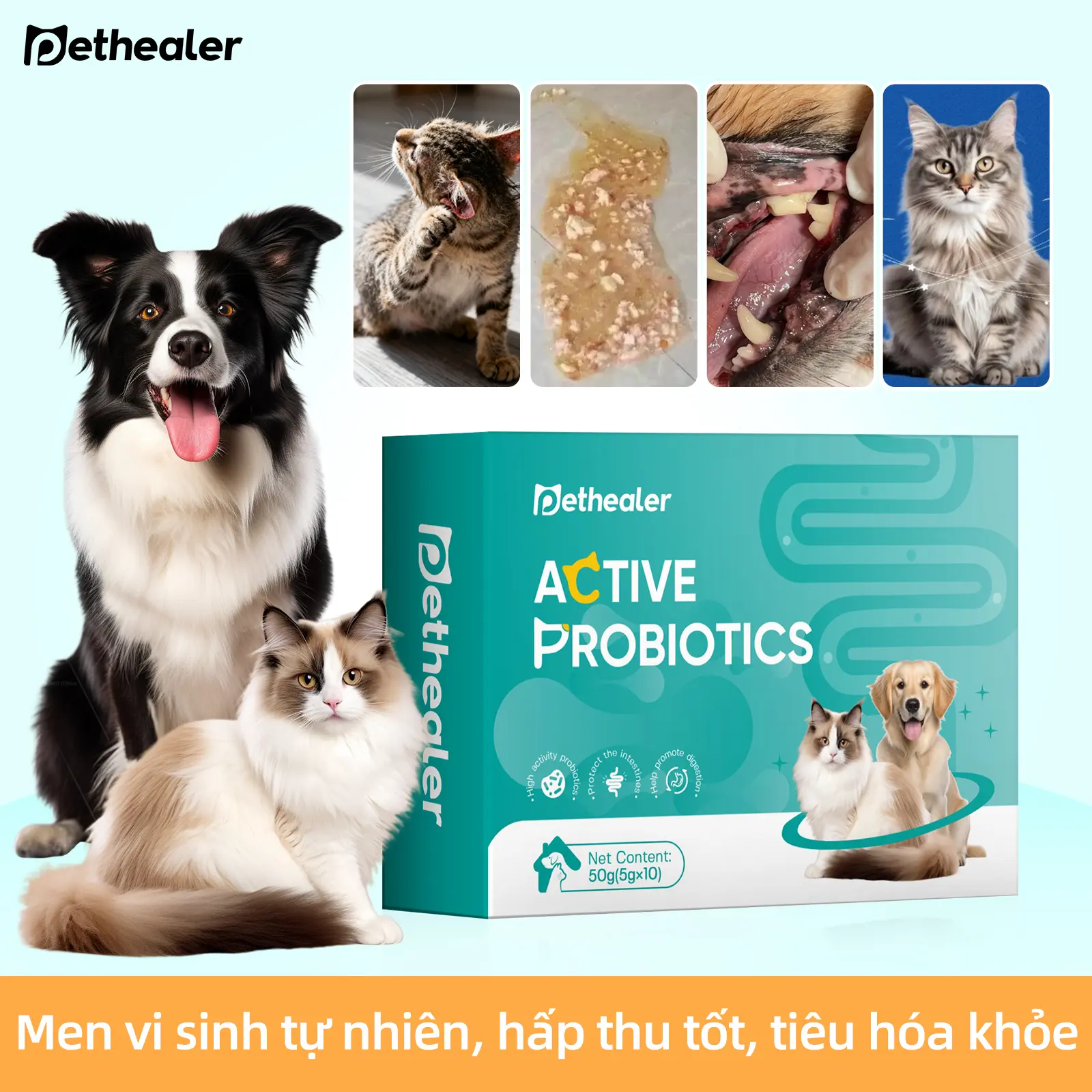 Men vi sinh & men tiêu hoá cho mèo và chó PetHealer – Hỗ trợ tiêu chảy, điều chỉnh đường ruột, tăng cảm giác ngon miệng – 5g/túi, 10 túi/hộp