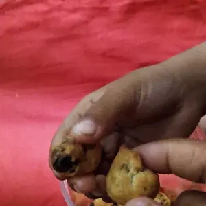 COD Halal Soes Coklat Cokelat/strawberry / mix rasa/halal Kue Sus Kering Isi soes coklat lumer 1 kg （Cemilan keluarga, cocok untuk dewasa dan anak-anak） Chocolate Food Makanan Snack Manis soes cokelat 1 kue soes coklat Toples Biskuit