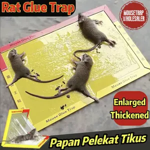 5PCS Lem Tikus Papan / Lem Tikus Super Lengket