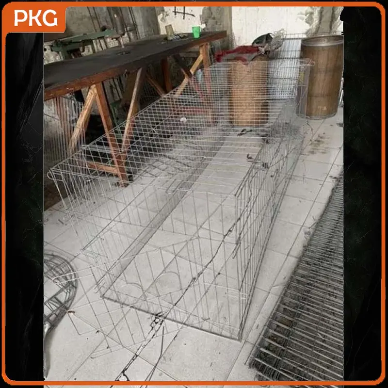 Kandang Umbaran Galvanis Besar 200cm Untuk Ayam Jago Bangkok, Kurungan Umbaran Jumbo 2 Meter Murah 5