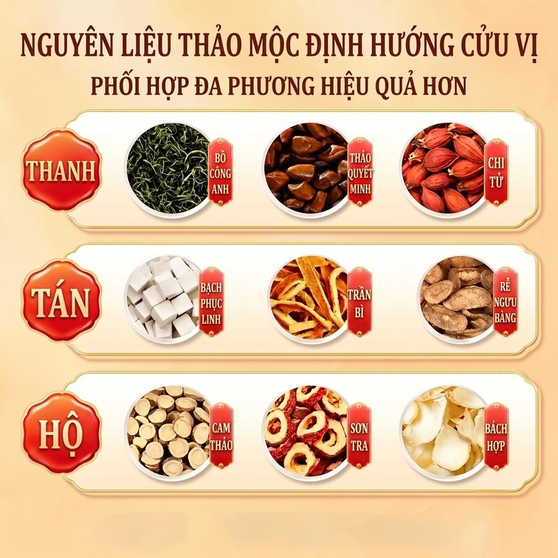 Trà Thảo Mộc Tự Nhiên - Trà Bồ Công Anh, Hoa Loa Kèn, Hoa Kim Ngân & Phế Linh -…