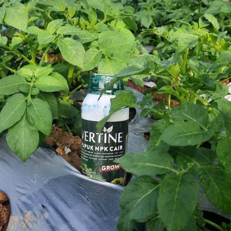 VERTINE GROW 500 ml- Pupuk NPK Cair Menyuburkan Akar, Batang dan Daun, Melebatkan Fase Pertumbuhan Tanaman Besi 8