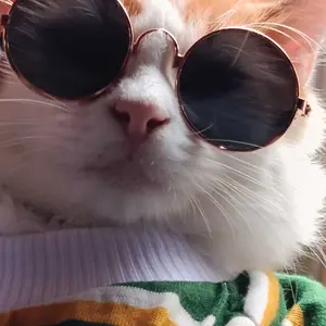 GTT Kacamata Kucing Anjing 6577 Kacamata Hitam Fashion Hewan Peliharan