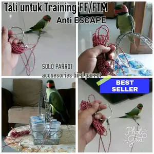 Tali Training Burung Parrot