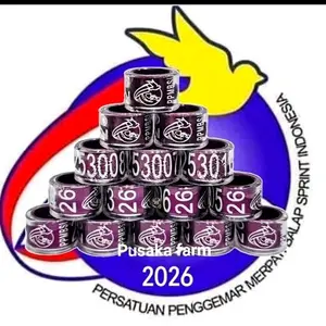 RING NASIONAL PPMBSI 2026 MERPATI BALAP .