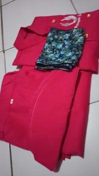 Product Review of Baju Profesi Anak Pramugari (PINK) from R**a 1** 0