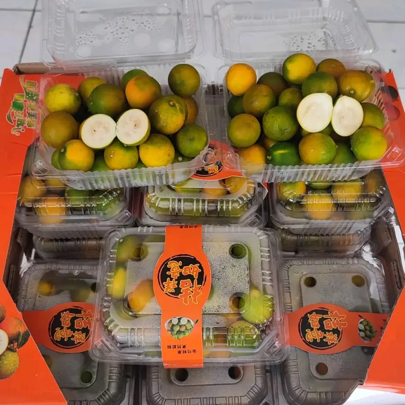 Jeruk Kimkit 500gr/Pack Segar dengan Kulit untuk Konsumsi - Buah, Zuriat, Frozen 0