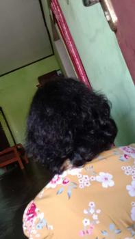 Product Review of [Promo Spesial] Aestika Dark Brown Hair Coloring Shampoo - Pewarna Rambut Beruban Kering Red Extract from s**5 0