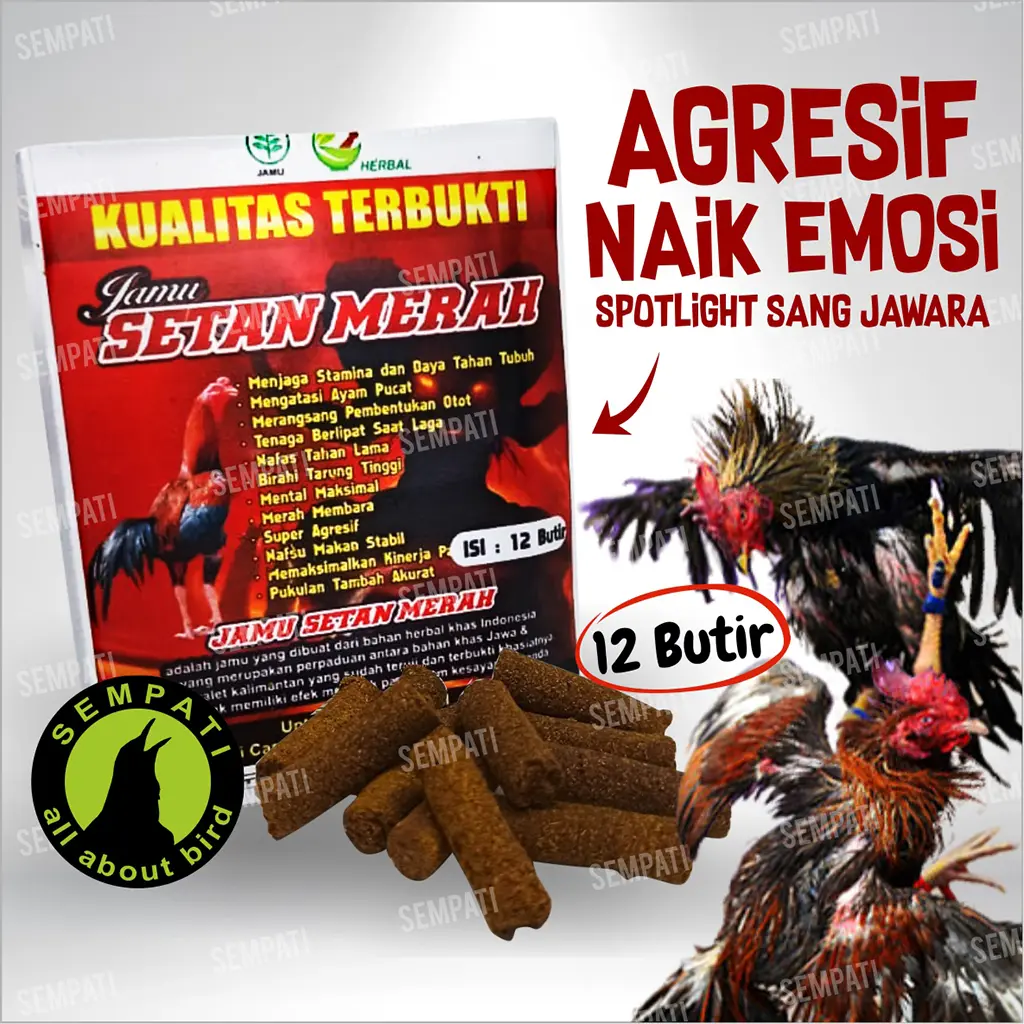 SEMPATI Jamu Ayam Jamu Setan Ramuan Herbal Ayam Petarung Agresif Suplemen Jamu Setan Dopping Ayam Jago Bangkok Mental Garang Obat Vitamin Ayam Laga