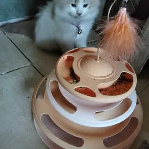 Mainan Bola Anabul Interaktif Otomatis Anjing Kucing - Mainan Bola Tali Kucing & Anjing - Smart Rotating Ball For Pet Cat Rolling Ball Mainan Bola Listrik Bergulir Cerdas LED