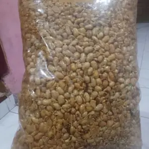 Kacang Kedelai Goreng Original 1 KG