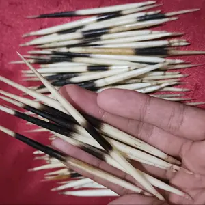 HIASAN DURI LANDAK ASLI KALIMANTAN KUALITAS TERBAIK KALUNG LIONTIN