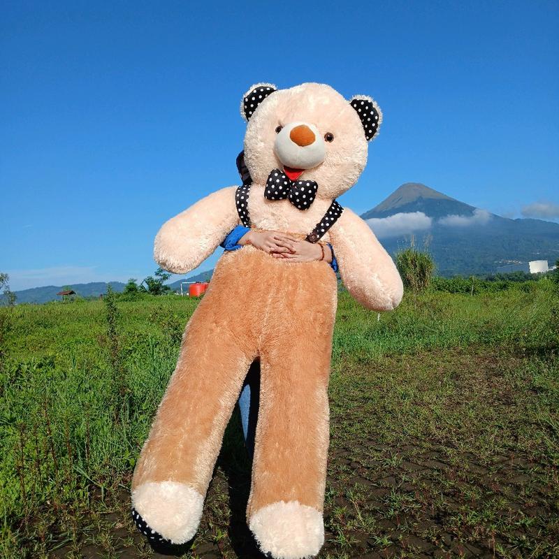 BONEKA SUPER JUMBO 2 METER PREMIUM SUDAH SNI Teddy Bear Dolls Toys 4