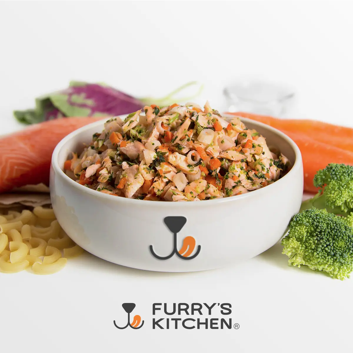Salmon & Pasta Fresh Dog Food