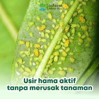 Gambar INFARM - Paket Pengusir Hama, Pestisida Nabati Organik Siap Pakai 500 ml dan Gunting Dahan Ampuh dari Infarm Kota Surabaya 3 Tokopedia