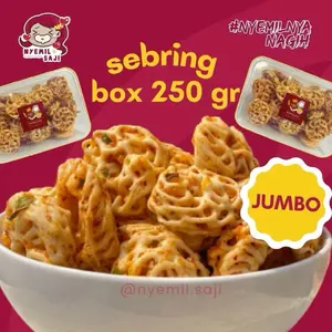 SEBRING BOX 250 GRAM NYEMIL SAJI