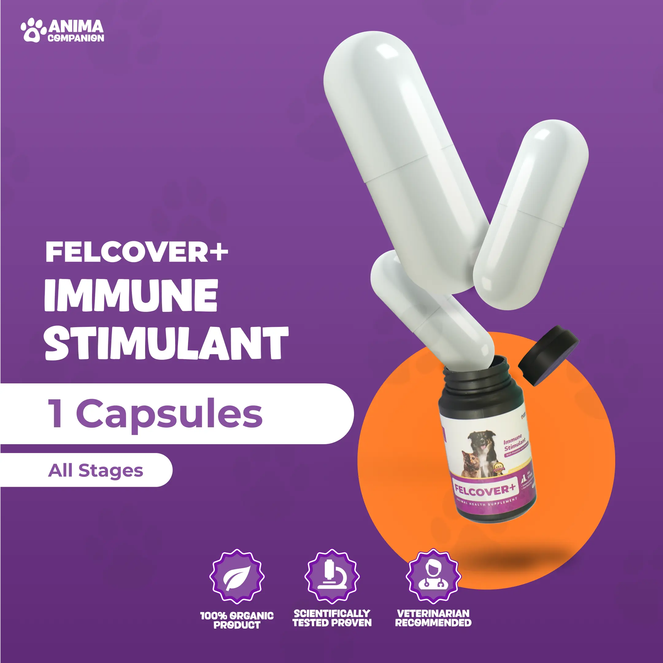 FELCOVER - Vitamin Imunitas Kucing Anjing - Harga/Kapsul - Suplemen Kucing Anjing Imunitas