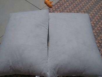 Product Review of Paket Hemat 2 Bantal The Luxe aera 35x50cm from N**s j**a 1