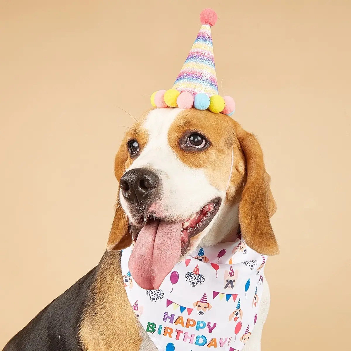 Big Dog Birthday Hat, Pet Birthday Hat for Big Dogs