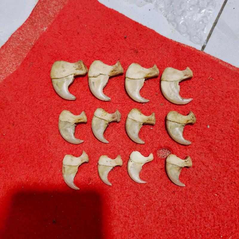 accesories liontin kalung serbaguna 7
