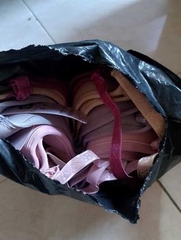Product Review of 8pcs BH BRA POLOS CUP A KECIL  TANPA KAWAT SIZE 34 36 38 40 from a**l 1