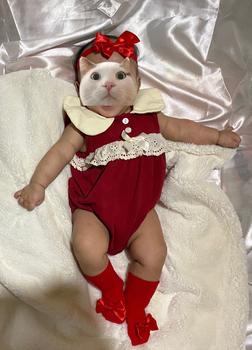 Product Review of Baby Club Baby Girls Jumpsuit Summer Red Bow Thin Cotton Lace Collar  Sleeveless Infant Jumpsuit Baby Fashion 0-24 Months from 𝓜** 𝓜** 0