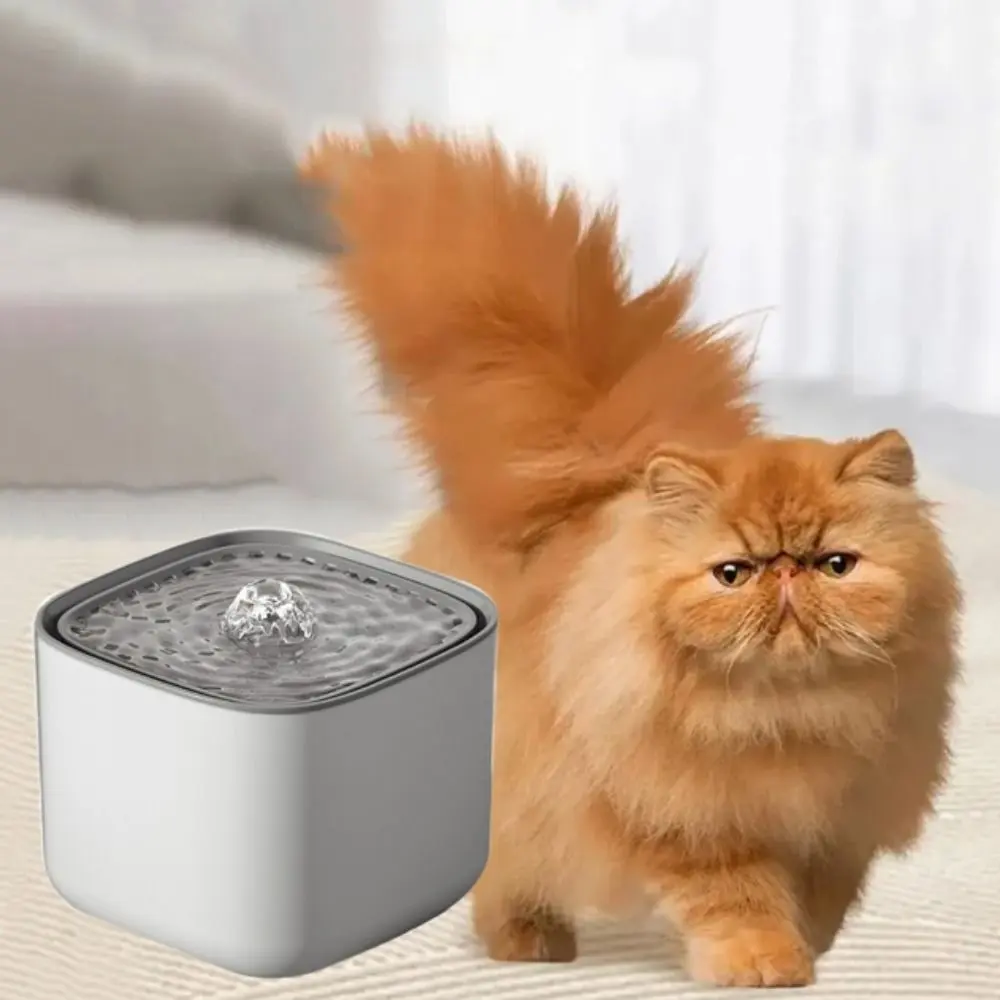 Pet Drinking Fountain 3L Automatic Cat Water Fountain Silent Electric Auto Recirculate Filter Plastic Large Capacity Cats Water Dispenser for Home