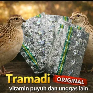 Tramadi Stamina Burung Puyuh Dodol Biji T.O.P Produk Original