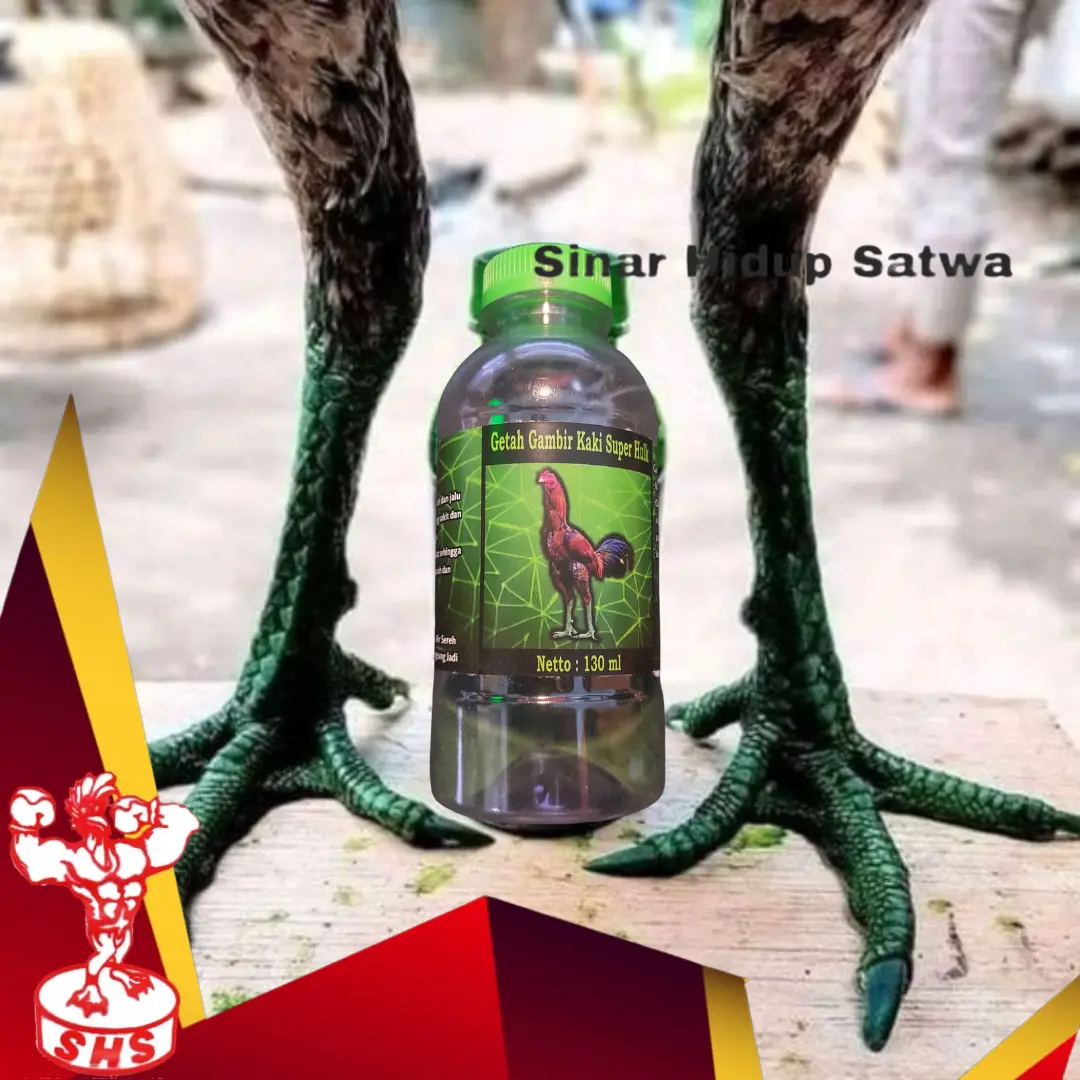 GETAH GAMBIR HIJAU UNTUK SISIK AYAM