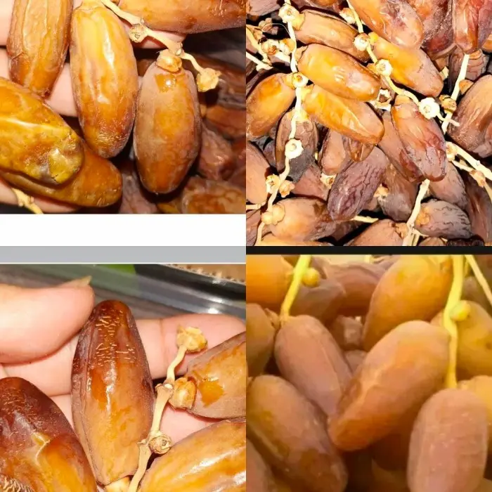 Kurma Tunisia Tangkai Super kemasan  1 KG//Kurma Tangkai 1KG Fresh dan bergizi//Kurma Tangkai Premium 1 KG 5