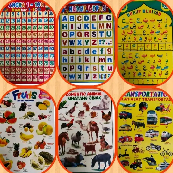 Poster Gambar Hewan | poster Edukasi Anak | Herbivora | Karnivora | Omnivora | Dll.Stationery 3