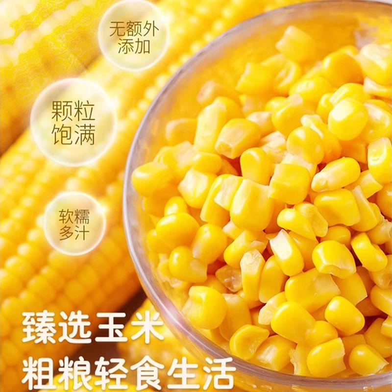 Product Introduction of Jia Nong Corn Instant Fruit Sweet Corn 80g/pack - Shelf Life 365 Days 7