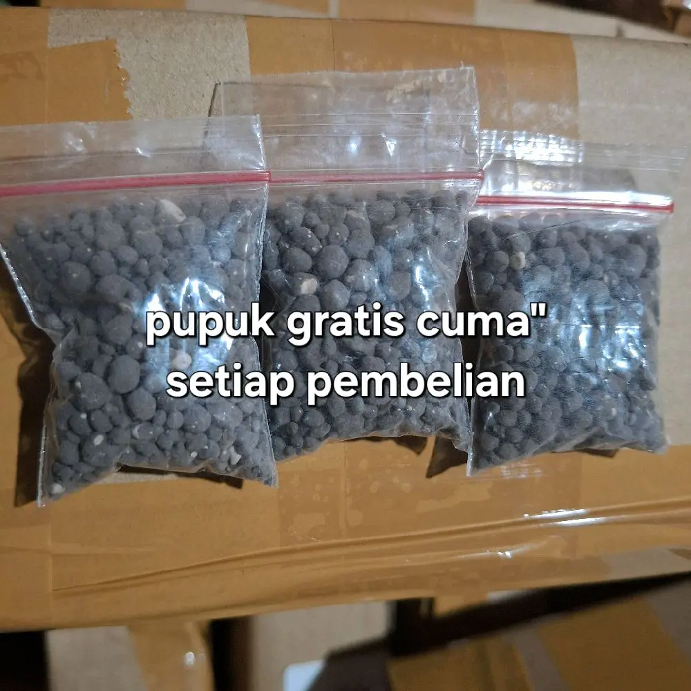 Pupuk penyubur tanah tanpa bikin tanah rusak