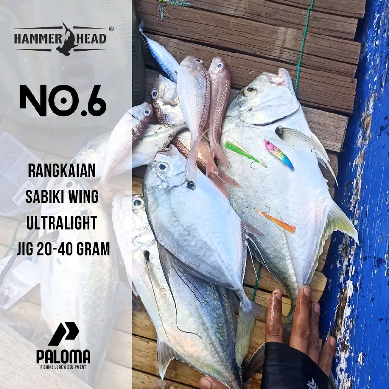 Sabiki Resin Wing Isi 2 Kail Nomor 6 Umpan kotrekan 5