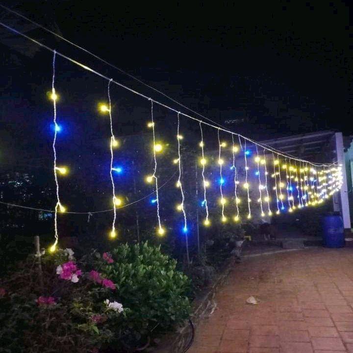  Đèn Trang Trí LED Thả mành 12m rủ xuống 60cm Gồm 48 Sợi Có điểm chớp Nháy Xanh 