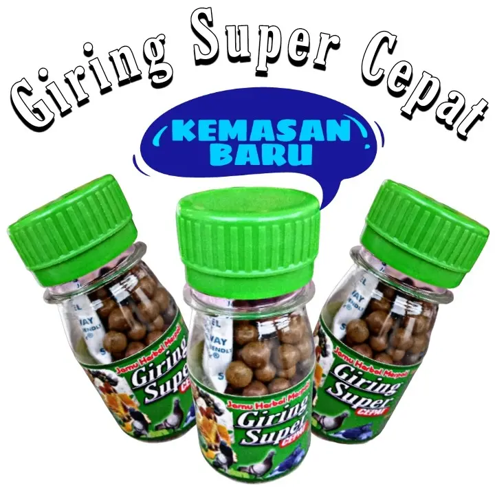 PROMO !!! 120 BUTIR PIL HITAM JAMU MERPATI SUPER GIRING KERAS paling ampuh, jamu ginseng teki liur walet 4