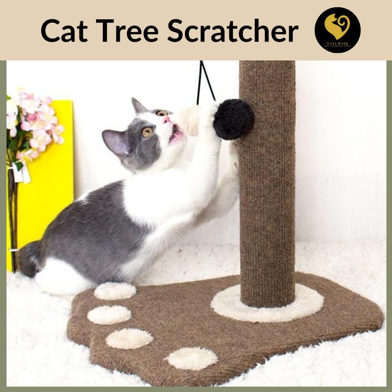 Cat Scratch main Bed Toy Kucing Scratcher Kucing pokok - TikTok Shop ...