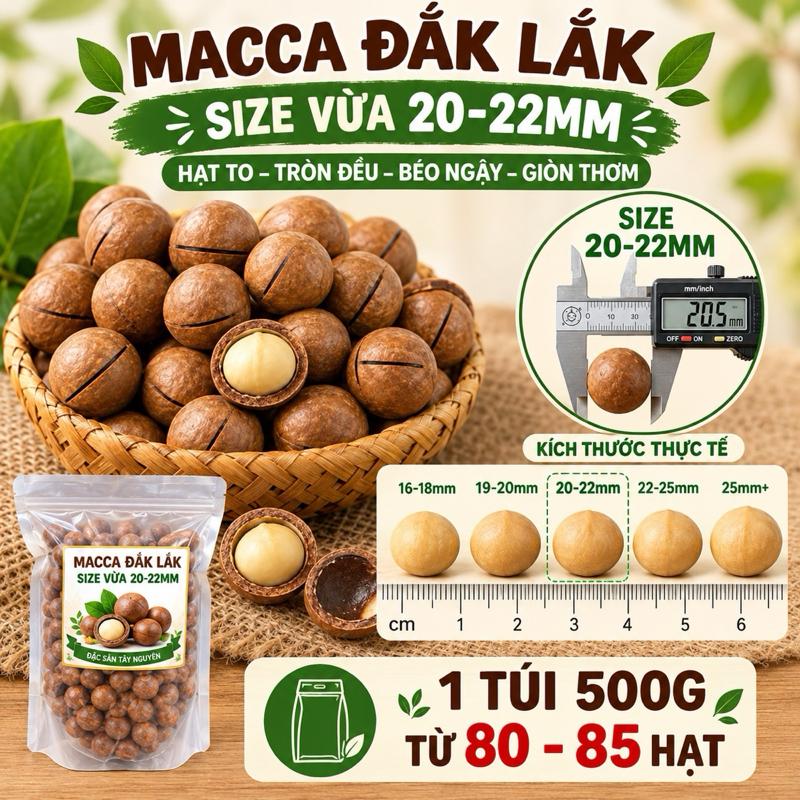 500G Macca Daklak Size Vừa 20-22mm - Hạt tròn , Nhân trắng, béo ngậy ,100% tự nhiên Không chất bảo quản Không chất phụ gia