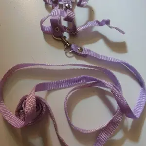 Tali Tupai Sugar Glider Kadal Hamster Harness