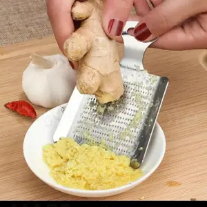 Parutan/Grater Jahe/Ginger/Bawang/Garlic/Wasabi Stainless Kitchenware